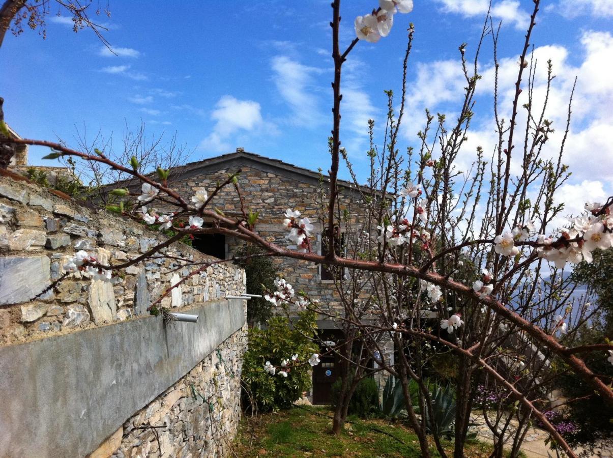 Pyrgos Traditional Village Ágios Kírykos Exteriör bild