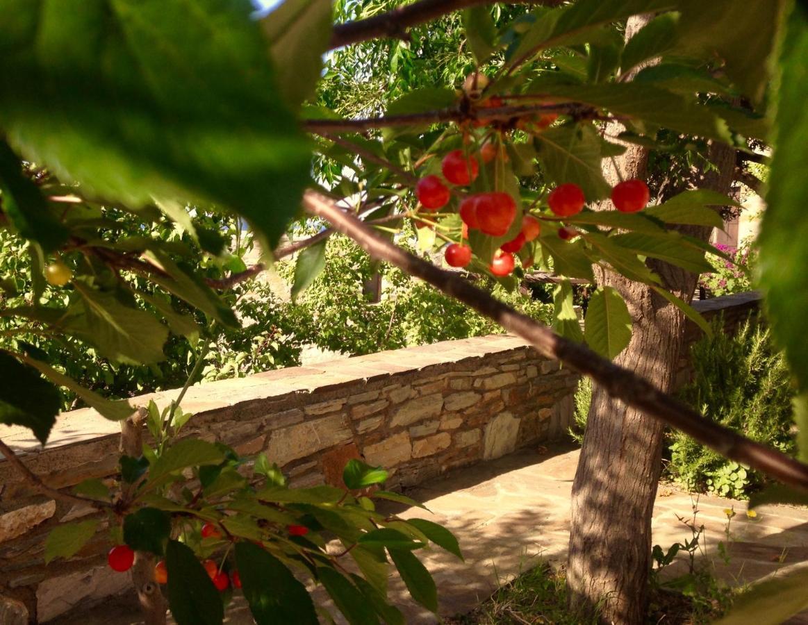 Pyrgos Traditional Village Ágios Kírykos Exteriör bild